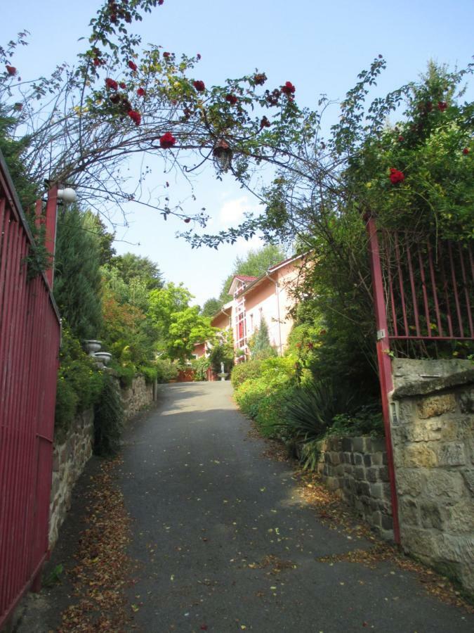 Stadtoase Meißen المظهر الخارجي الصورة