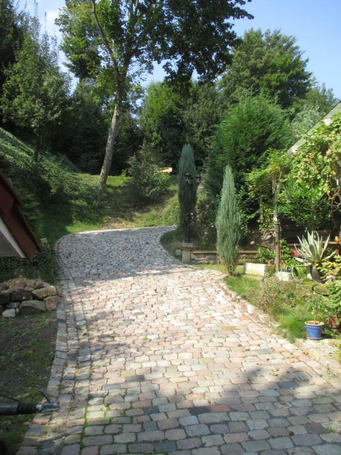 Stadtoase Meißen المظهر الخارجي الصورة